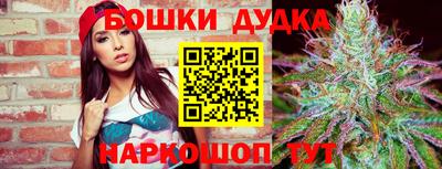 стафф Дубна
